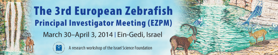 The 3rd European Zebrafish Principal Investigator Meeting (EZPM)